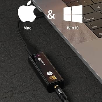 Amazon.co.jp: 【国内正規品】HiByMusic FC5 小型 DAC AMP